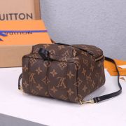 LV Palm Springs Mini Backpack