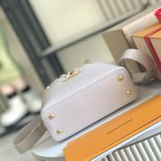 LV Capucines Mini(HIGH-END GRADE)