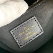 LV Petite Malle Souple Handbag(HIGH-END GRADE)
